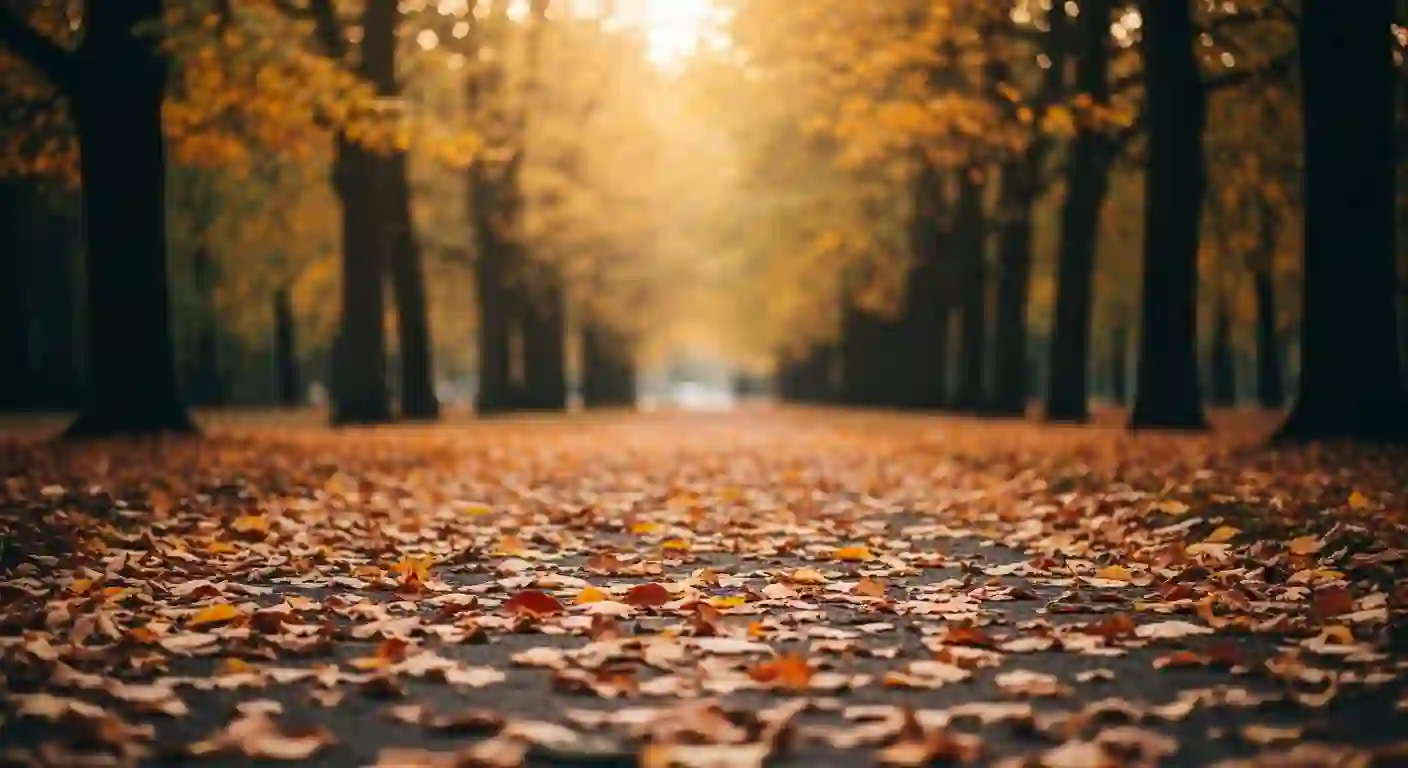 Banner — blog Roveja