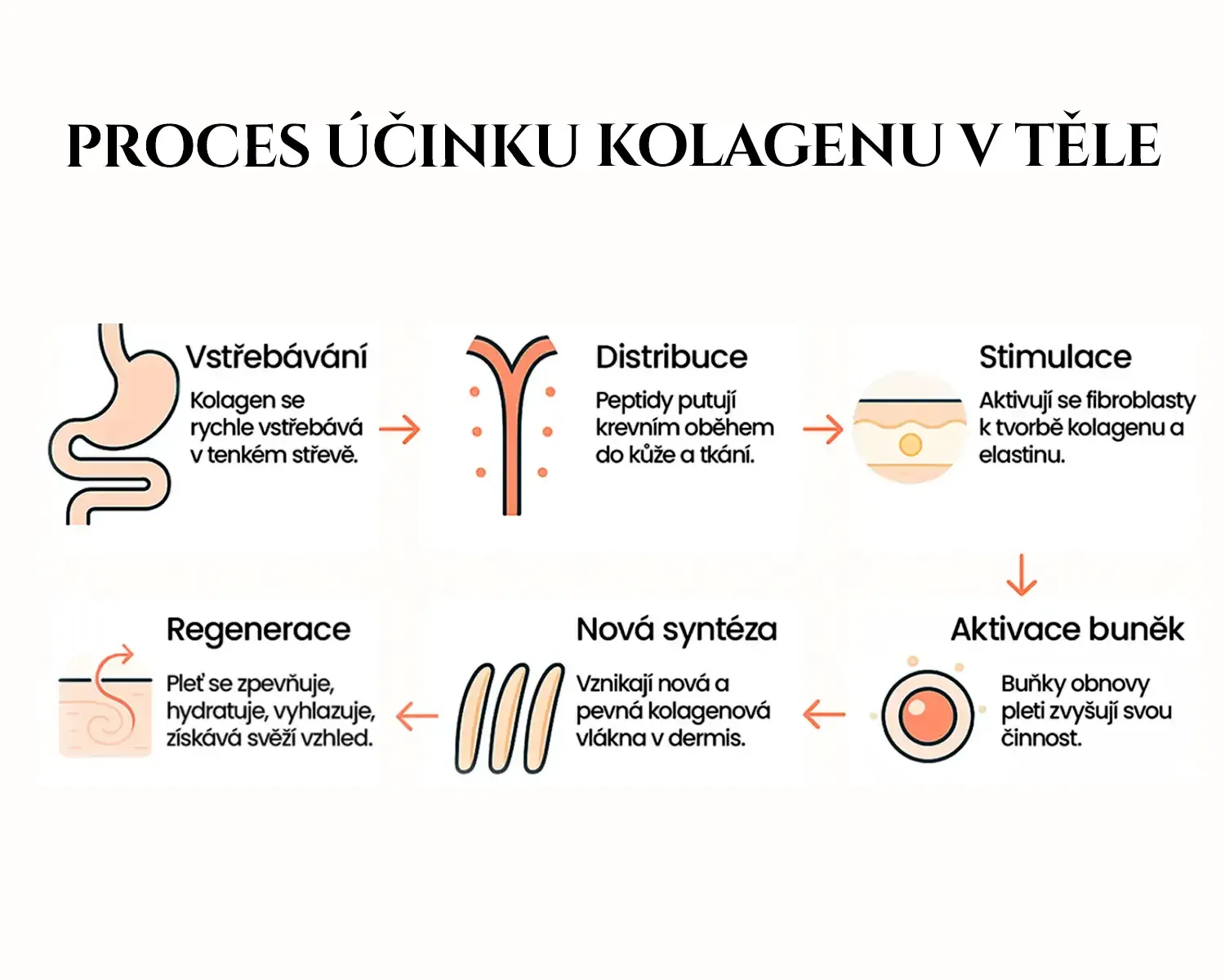 Roveja — Rybí kolagen