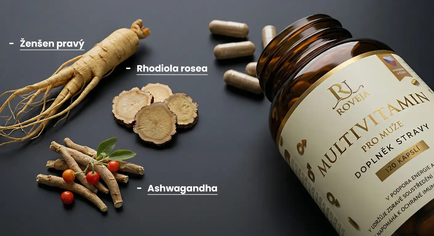 Multivitamin pro muže – přírodní adaptogeny ženšen, rhodiola a ashwagandha